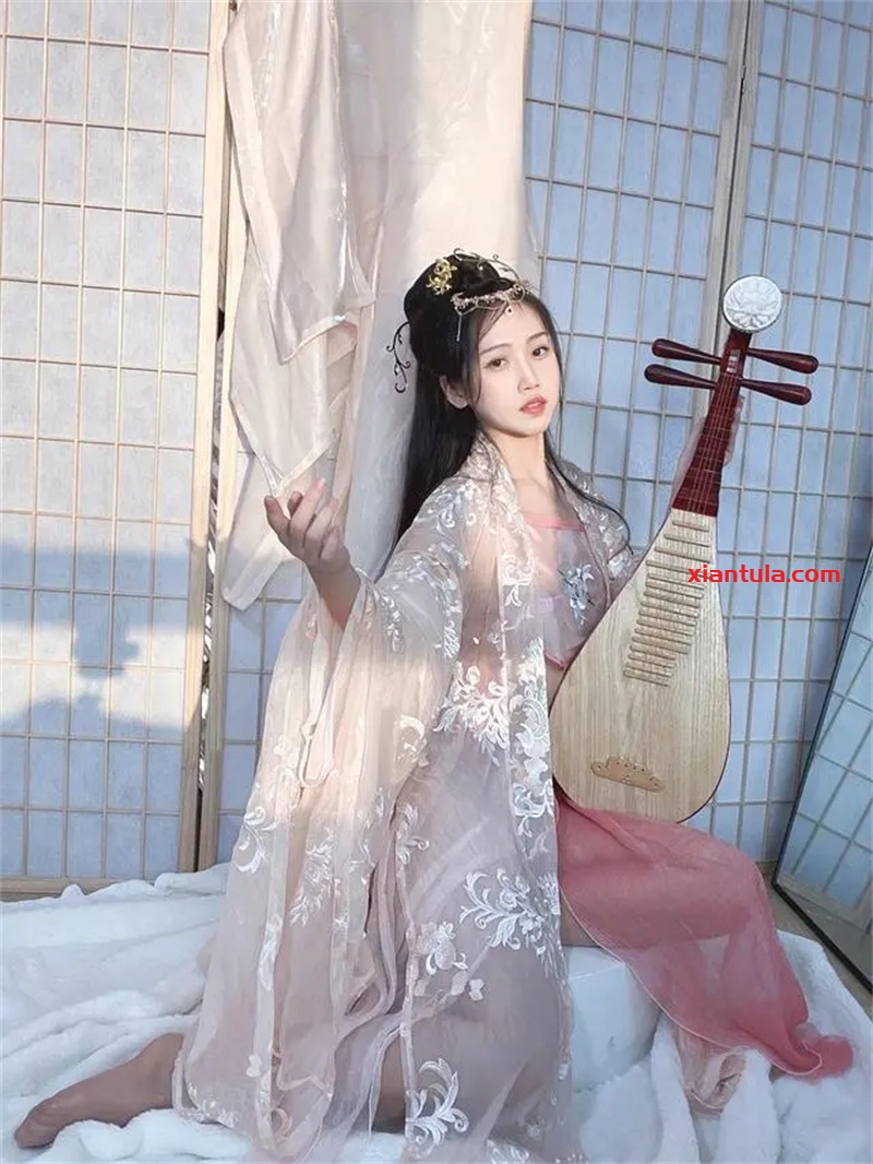 不呆猫图片更新完毕，37套的精彩生活与你共享