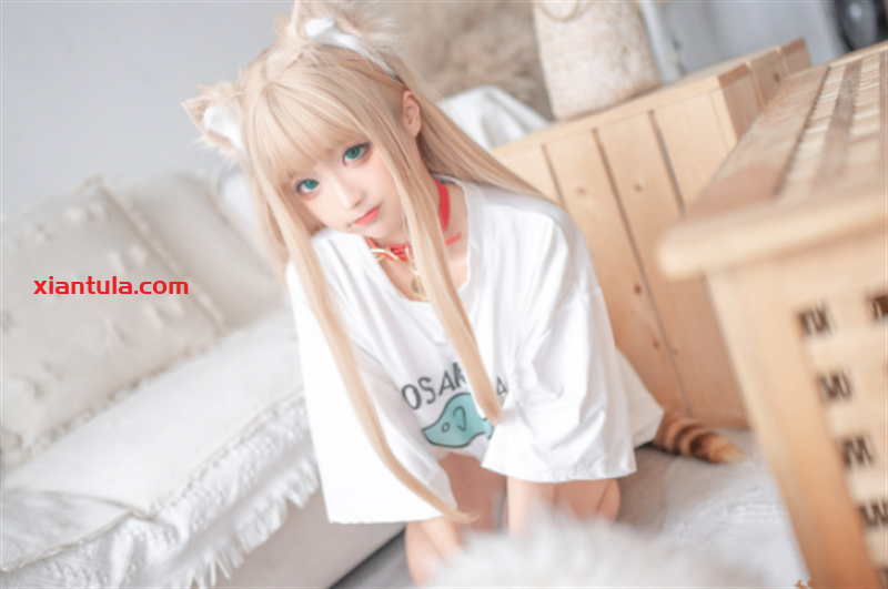 蠢沫沫黄豆粉猫娘尾巴插件147套,下班后更让人动心 蠢沫沫黄豆粉猫娘尾巴插件147套,下班后更让人动心