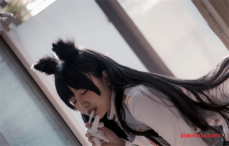 阿半今天很开心付费内容，猫踩奶笑成表情包