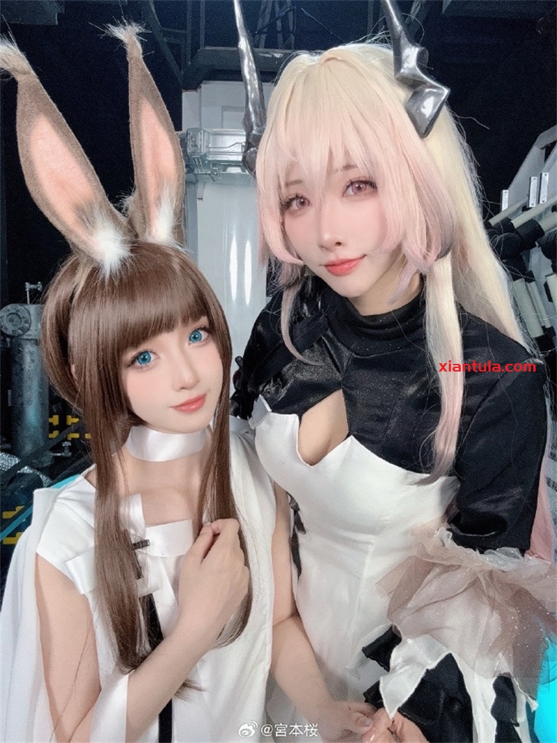 宮本桜照片展示，引无数摄影师抢拍