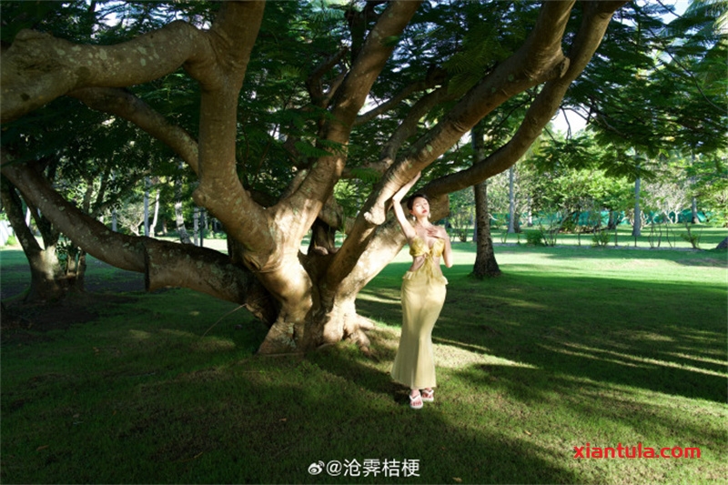 沧霁桔梗事件揭秘:靠二次元图片让结局华丽逆袭 沧霁桔梗事件揭秘:靠二次元图片让结局华丽逆袭