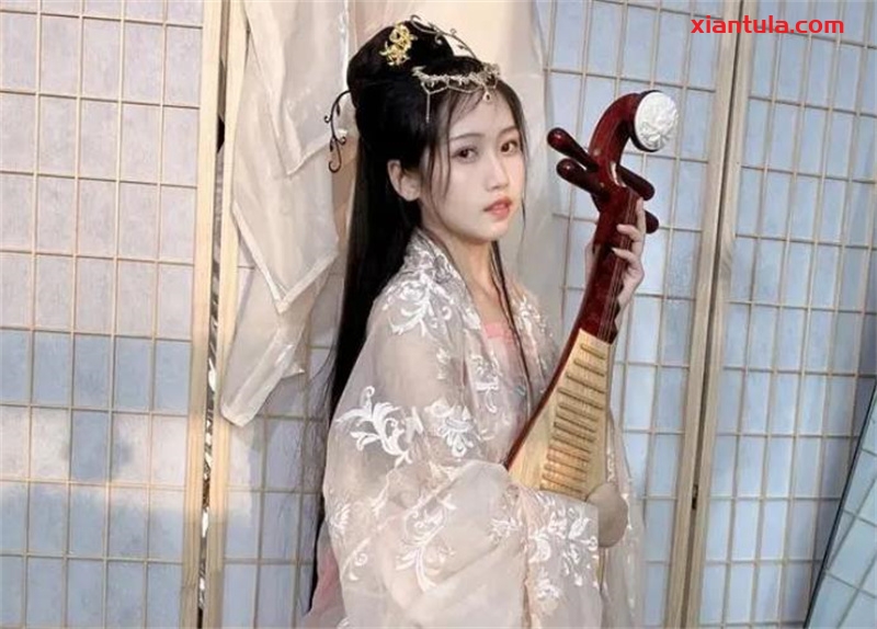 不呆猫：从普通古风女孩崛起，她的成长之路与近期黑料事件