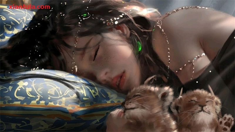 婉儿别闹ASMR：揭秘她的爆款直播与独家付费视频，粉丝必看！